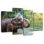 Éléphant Brampt jette de l'eau-108899840