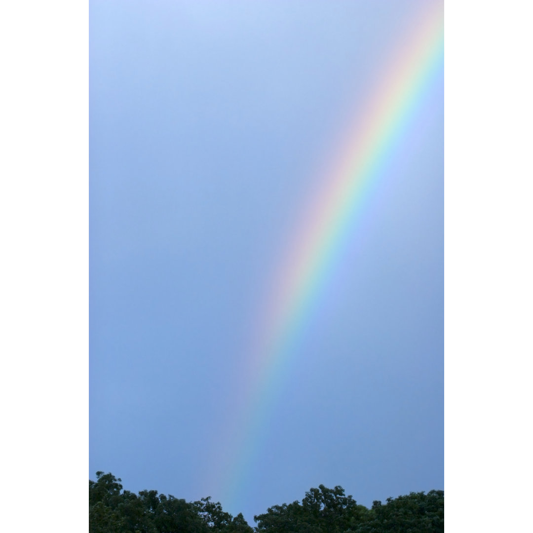 Regenbogen von LUke1138 - Kunstdrucke auf Leinwand ohne Rahmen