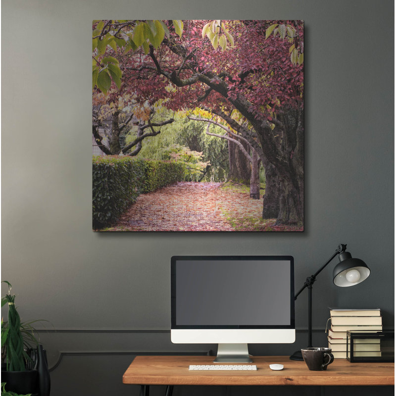 «Arch of Trees» par Colby Chester, art mural en métal, 12 po x 12 po, H 36 po x l 36 po