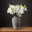 Anastasija Arrangement