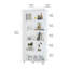 Vitrine à deux portes avec 5 tablettes-724351008