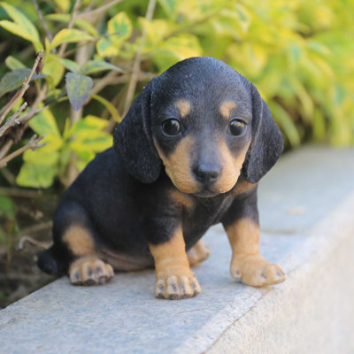 Statue chiot teckel