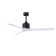 Nan 52" Ceiling Fan In Textured Bronze And Matte White Blades
