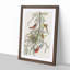 Orchard Oriole by John Audubon - Framed Print-55578236-55578241