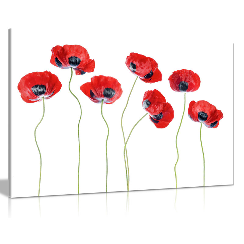 Crimson Red Ladybird Poppy Flowers - Wrapped Canvas Painting, 61cm H x 91cm W