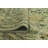 Wali Performance Wool Oriental Indoor Rug