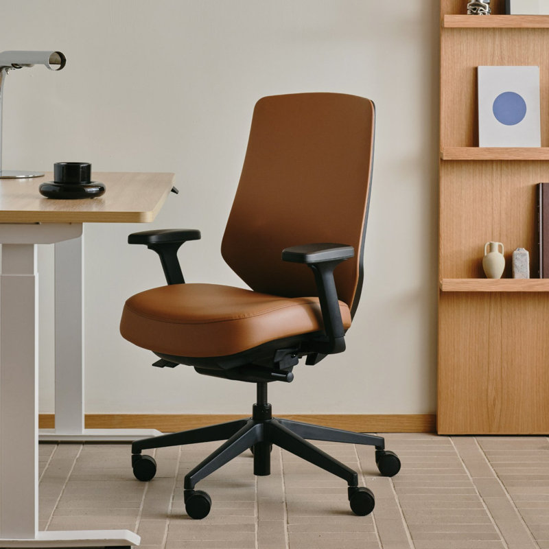 Ergonomic Chair Pro, Canyon, Black