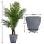 Palmier artificiel de type C et pots ronds en résine avec plateau-115293377-116920981