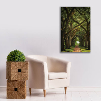  «Live Oaks In The Morning Light» par Martin Podt, art mural sur toile, 26 po x 40 po