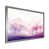 Silver Single Picture Framed