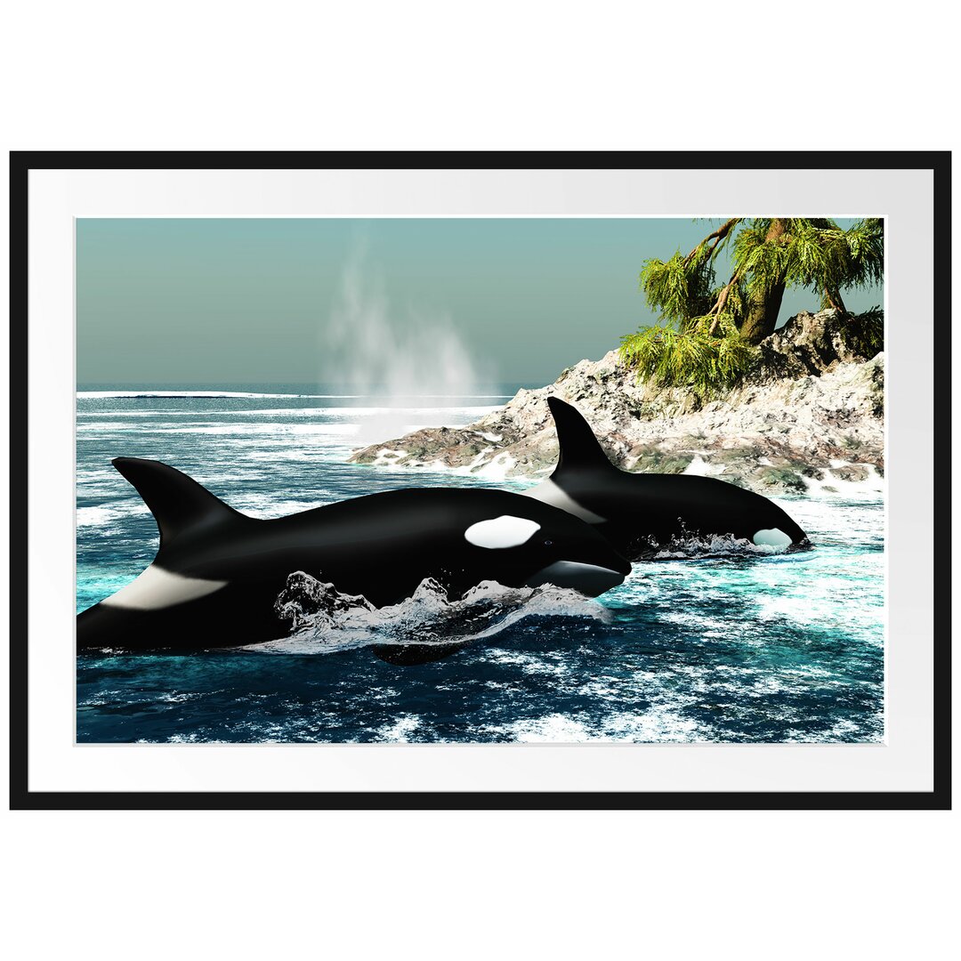 Gerahmtes Poster Orcas vor Insel