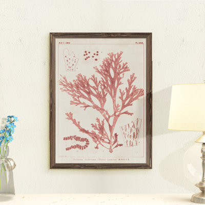 " Antique Coral Seaweed I " by Paul Cezanne