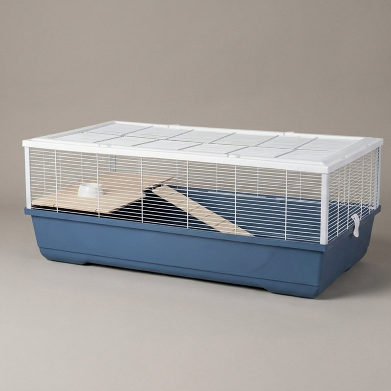 Small Animal, Blue