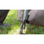 Camping bed, camping bed, office bed-114000843