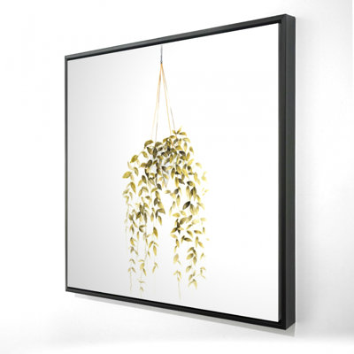 " Hanging Plant "