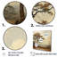 «Vintage Woods Beigetree Oak I», reproduction sur toile-97046281-97046282