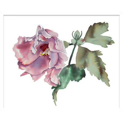 Hibiscus No. 8 Print by Elizabeth Becker