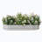 Metal Planter Bed-1370351262
