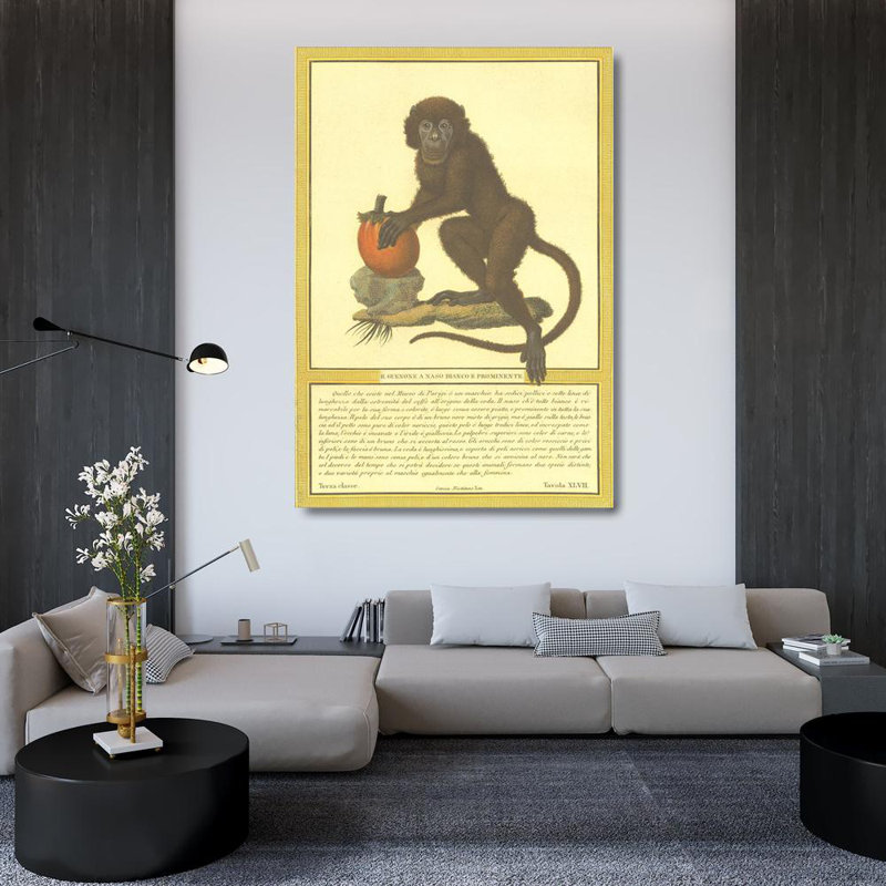 Monkey II MCG-T344