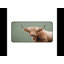 Polyester Desk Pad-1445240815