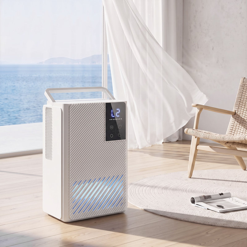 Dehumidifier