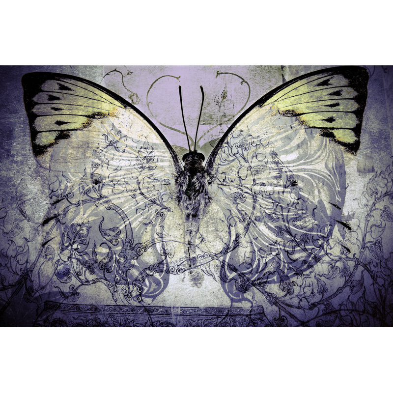 Doonfin Butterfly - Wrapped Canvas Print, 81cm H x 122cm W x 3.8cm D