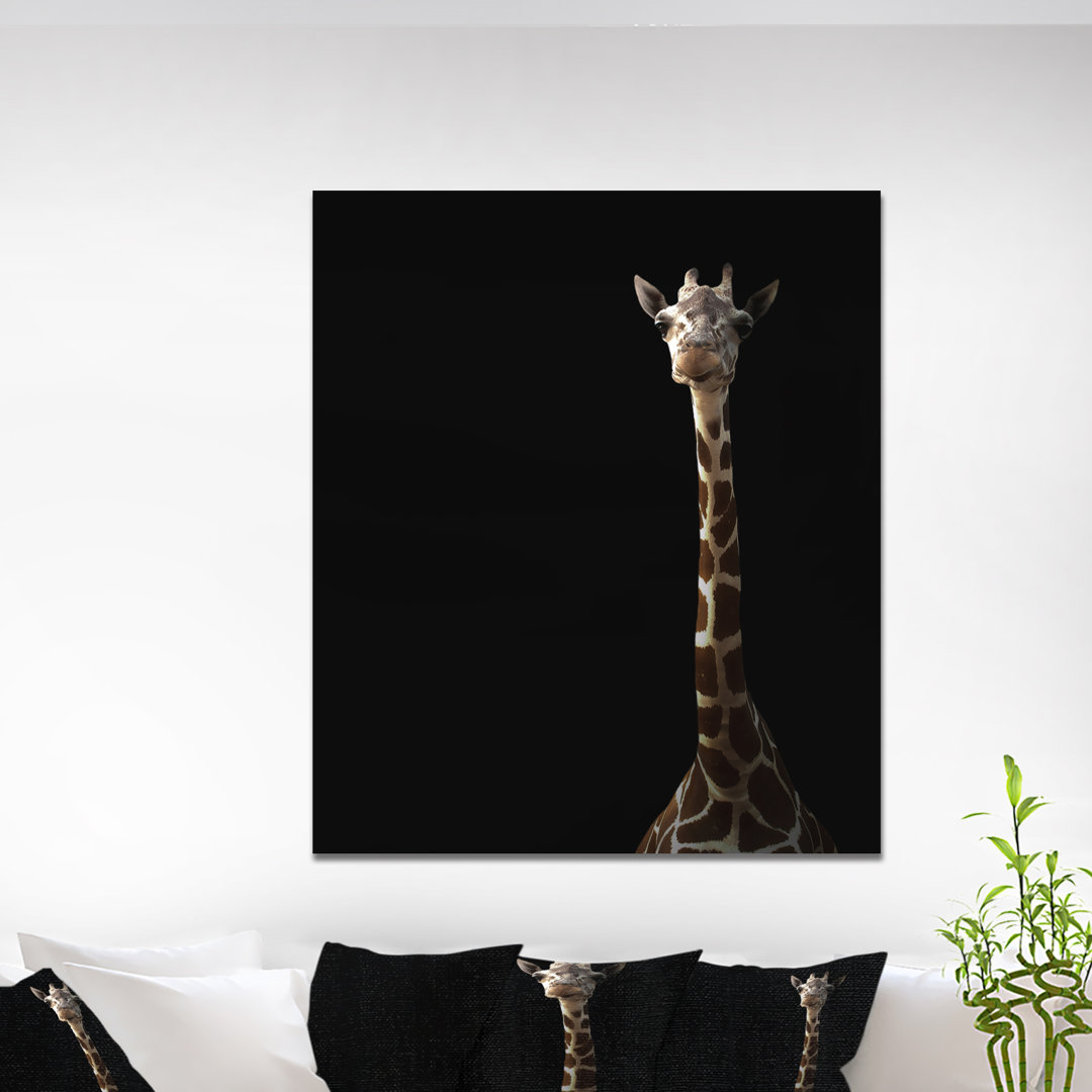 " Giraffe Hiding In The Dark " East Urban Home 