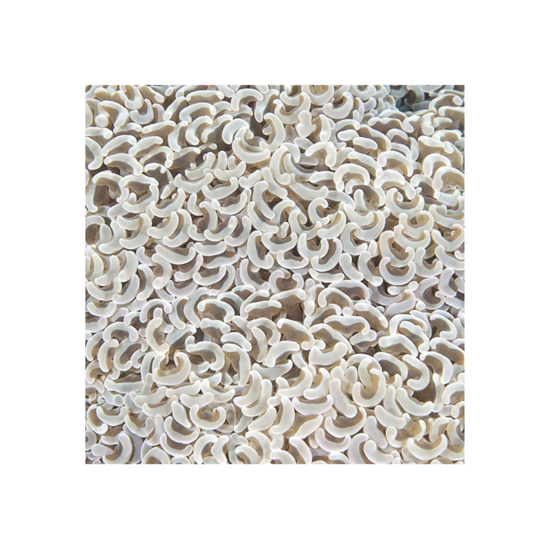 Underwater Beauty VIII Print by Austin Beiv, Glass Coat, 40" H x 40" W x 1.5" D
