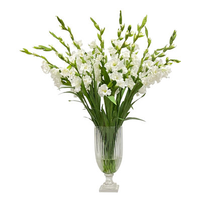 White Gladiolus In Cut Vase