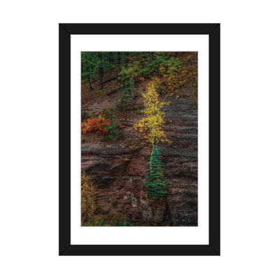 " Beautiful Tenacity " by Bill Sherrell