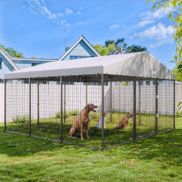 Dogs in an outdoor dog kennel with a white roof.