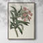 «Pink Floral Mix VI», reproduction encadrée - bois massif-852846755
