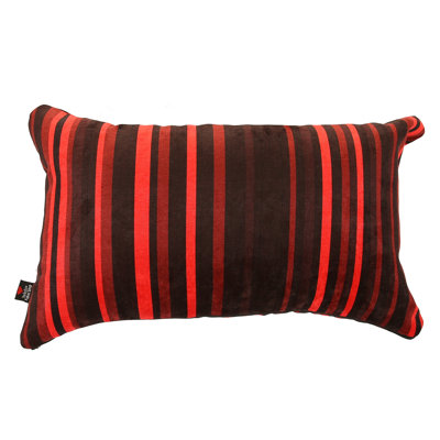 Alonzo Striped Rectangular Throw Cushion