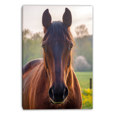 Field Portrait Wrapped Canvas Wall Art