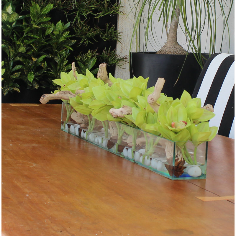 Driftwood Cymbidium Orchids Centerpiece in Glass Planter, 8" H x 48" W x 6" D, Green