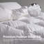 Édredon standard en coton-655336463-655336461