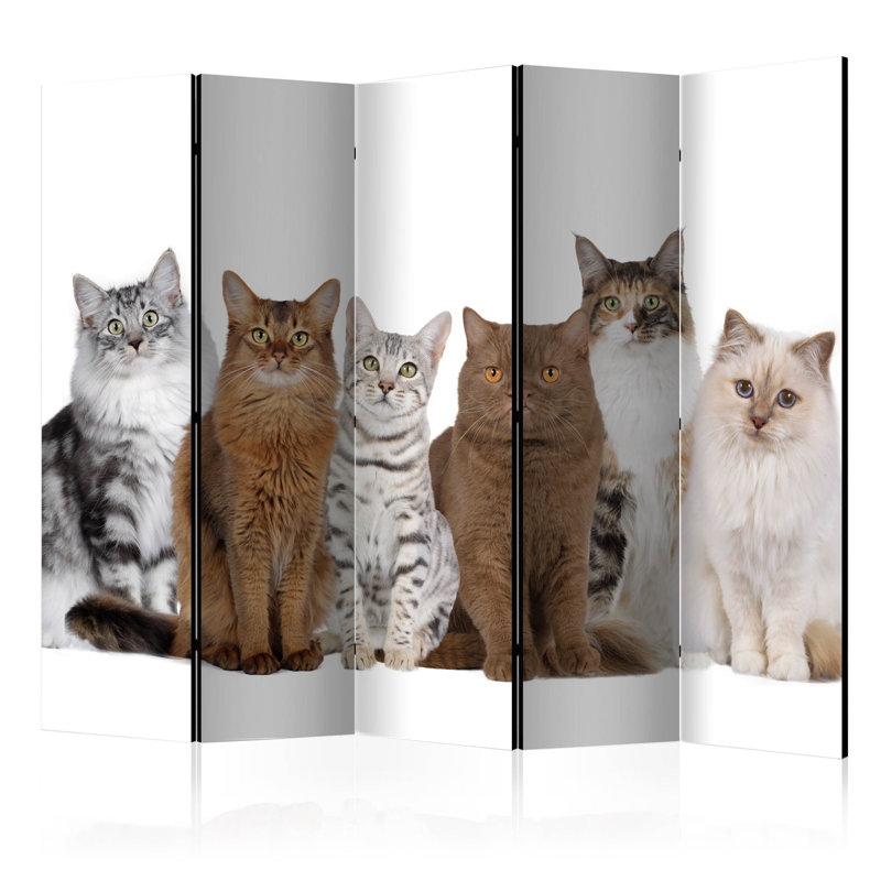 Juelz 172cm H Folding Room Divider, 5