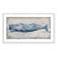 Baleine bleue Brannen - reproduction de cadre photo-101124539-101124579-119867794