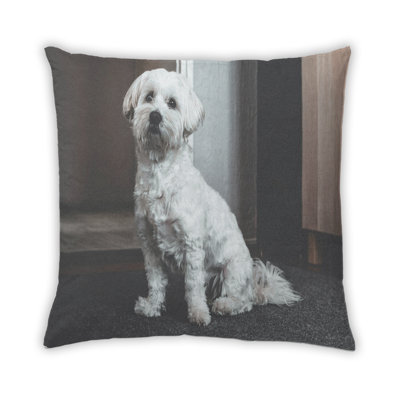 Coussin Dogs Dogs 67