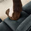 Très grand canapé pour 4 personnes à assise large et profonde, canapé à 4 places avec tiroir de rangement sous chaque siège, canapé surdimensionné à 4 places, chenille blé-1557587905