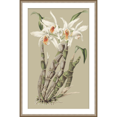 Botanical Jungle 1 Print