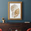 Seashell I - Peinture sur toile encadrée-244863811