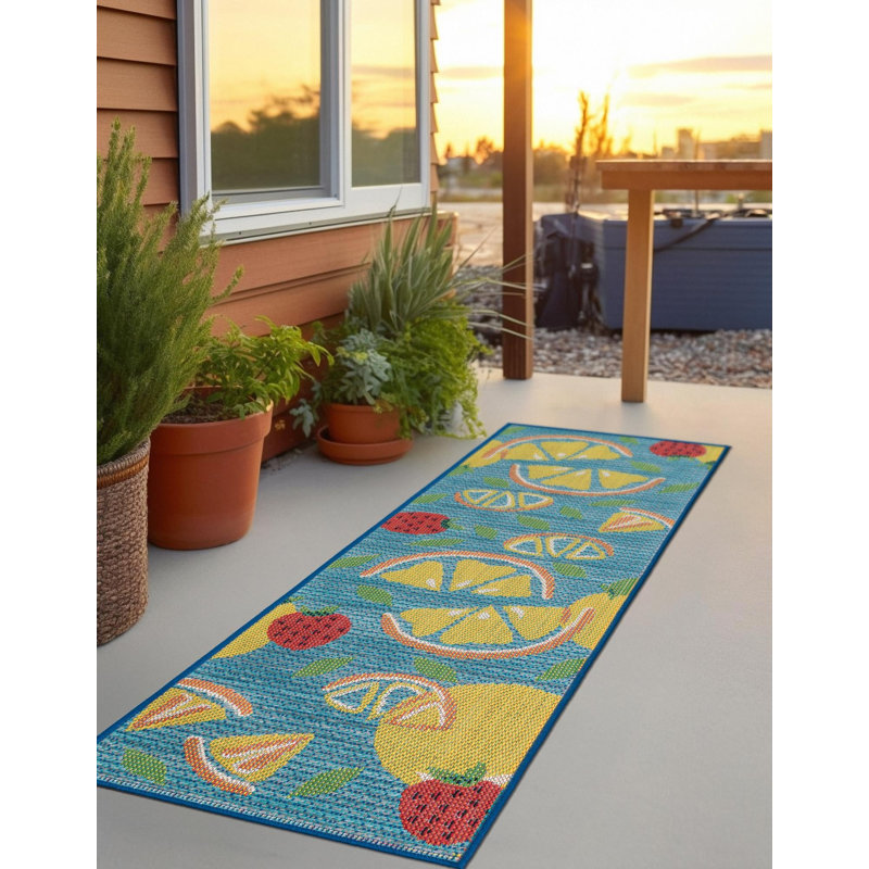 Indoor / Outdoor Rug, Runner 2' x 8'