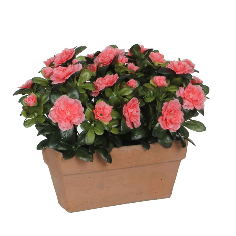 Omprakash 27cm Faux Flowering Plant in Planter, Peach