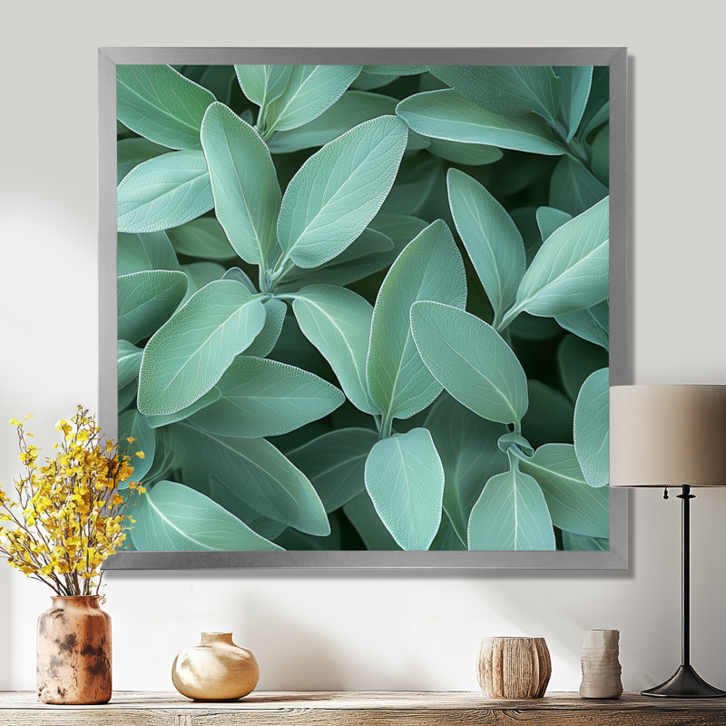 Feuilles de sauge - feuilles, art mural, Reproduction encadrée d'une seule photo, Argent argent, H 30 po x l 30 po