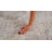 Mona Area Rug-107426117