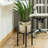 Indro Metal Plant Stand