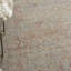 Cailah Oriental Area Rug-1061214643