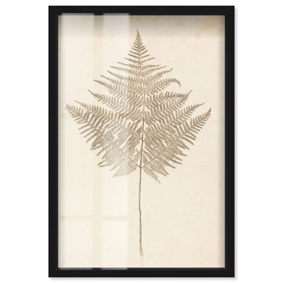 Art botanique Fern Frond Shadowbox par Art Remedy