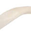 Polished Kudu Inner Horn on Acrylic Display Base
